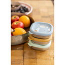 Beaba Stainless Steel Meal Box Set - 2 Designs