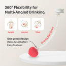 Pigeon SofTouch BPP 2-Step Straw Bottle Set T-ester Ocean (240ml)