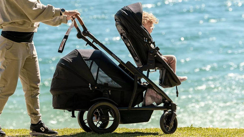 Babyhood Doppio XX Stroller Frame