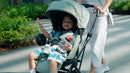 Mimosa Carousel Cruiser Stroller - 3 Colors