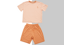 Little Zebra Kids Shorts Set
