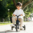 Mimosa 7-in-1 Trike - 3 Colors