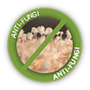 Lucky Baby I-EEKOH High Density Playpen Mattress W/Bamboo Cover (26" x 38" x 3")