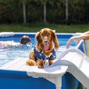 INTEX Rectangular Frame Pet Pool Set with Filter & Ramp