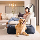 INTEX Inflatable Pet Bed with Hand Pump - Medium