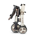 [2Yrs Local Warranty] Micro Tricycle - 2 Colors