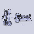 Micro Tricycle - 2 Colors