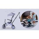 Micro Tricycle - 2 Colors
