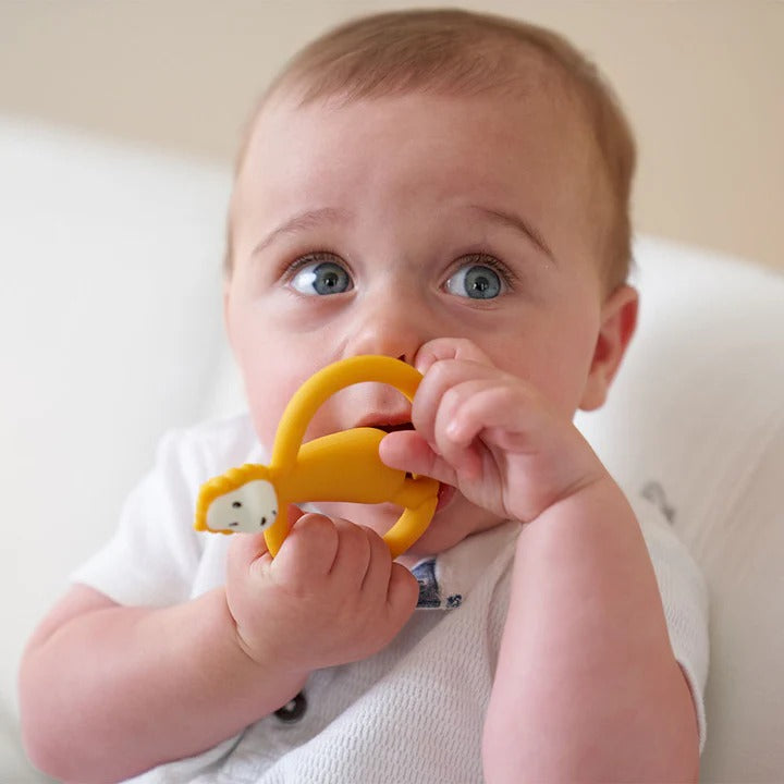Matchstick Monkey Animal Teether - 3 Designs