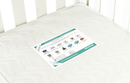 Babyhood Fold N Go Cot - (Baltic )- [Bundle Pack] (1 yr warranty)