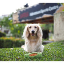 [2 Pack] Nom Waggle Otah Squeakie Chew Toy