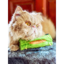 [2 Pack] Nom Waggle Otah Squeakie Chew Toy