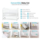 Palette Box  Dreamer Plus 10-in-1 Convertible Baby Cot + TSL Premium Mattress - 2 Colors (Bundle Pack)