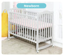 Palette Box Dreamer 7-in-1 Convertible Baby Cot - 2 Colors
