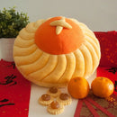 Nom Pineapple Tart Cushion