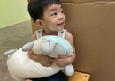 Little Zebra HugHug Pillows