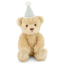 Snuggle Bunnies Birthday Arthur With Gingham Hat