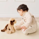 Snuggle Bunnies - Coco The Shih Tzu