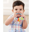 Skip Hop Silver Lining Cloud Teethe & Play Toy - Bird