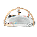 Skip Hop Discoverosity Activity Gym
