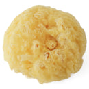 [3-Pack] Snapkis Natural Greek Bath Sponge