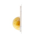 [3-Pack] Snapkis Natural Greek Bath Sponge