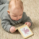 Jabadabado Play And Learn Box 6-12 Months