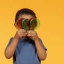 Jabadabado Play & Learn Box Colour