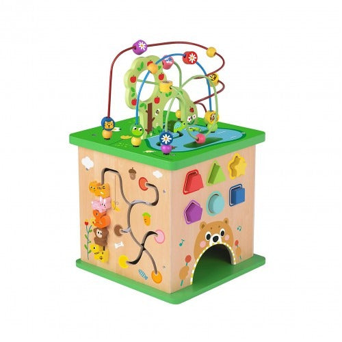 Montessori Educative Learning Wooden Play Cube Centre Activity Toy