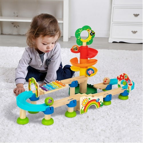 Montessori Educative Learning Wooden Ball Drop Track Set