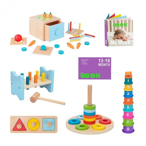 Montessori Educative Learning Wooden Educational Box 13-18 months