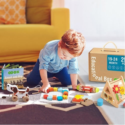 Montessori Educative Learning Wooden Educational Box 19-24 months