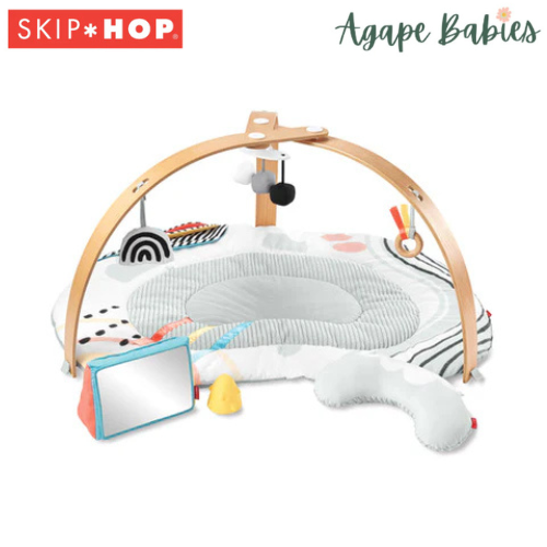 Skip Hop Discoverosity Deluxe Activity Gym