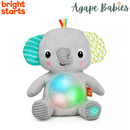 Bright Starts Hug-A-Bye Baby Musical Light Up Soft Toy