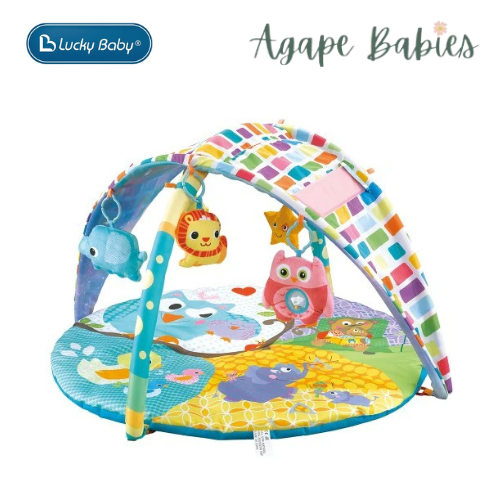 Lucky Baby 2 In 1 Sky Canopy Playgym