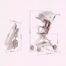 Playkid Easi Plus 2 Way Baby Cabin Stroller Rider/Walker - Black