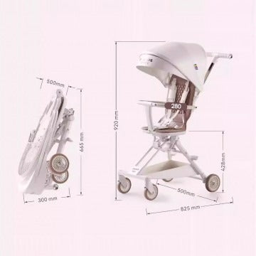 Playkid Easi Plus 2 Way Baby Cabin Stroller Rider/Walker - Black