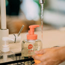 [2-Pack] B&B Feeding Bottle Cleanser (Foam) - Bottle/Refill Pack