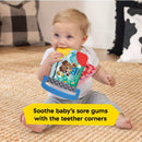 [2-Pack] Baby Einstein Farm Explorers Teether Book Shapes