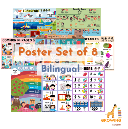 Growing Up Academy Educational Posters (Set of 8) – Bilingual (28X40cm)