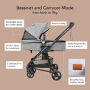 Mimosa Suite Seat Stroller with Bassinet - Ash Grey
