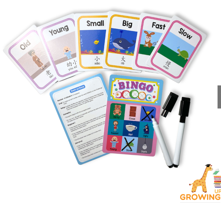 Growing Up Academy Educational Card Game – Opposite Bingo