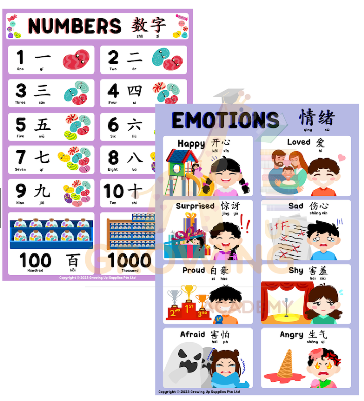 Growing Up Academy Educational Posters (Set of 8) – Bilingual (28X40cm)