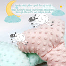 Puku Baby Pillow Minky Fabric Butterfly Shape - 8 Designs