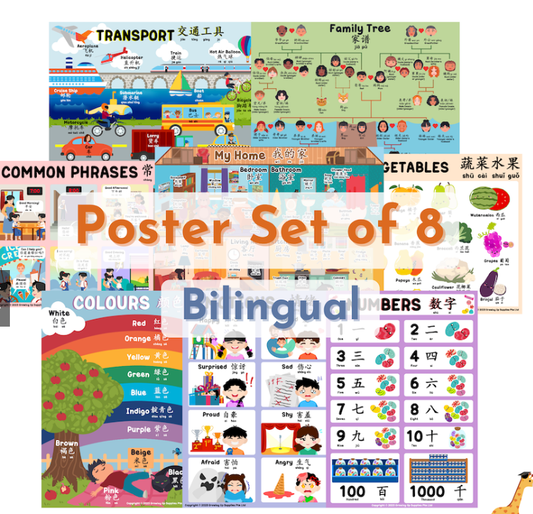 Growing Up Academy Educational Posters (Set of 8) – Bilingual (28X40cm)