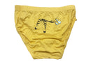 Little Zebra Boys Underwear