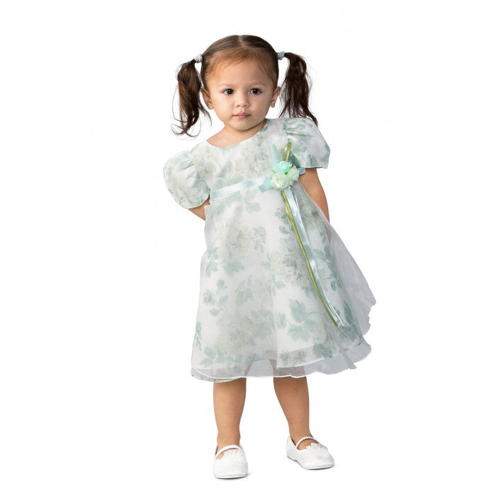 Sunshine Kids Delphine Rose Princess Dress in Green 0-24M