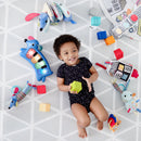 Skip Hop Vibrant Village Light Up Dog Piano