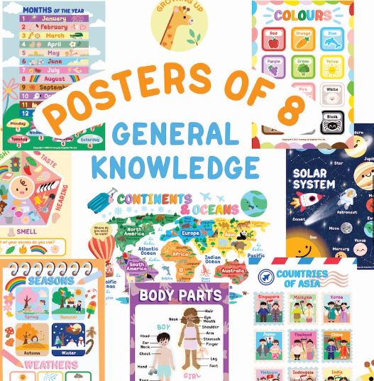 Growing Up Educational Posters (Set of 8) - General Knowledge (28X40cm)