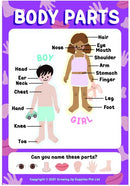 Growing Up Educational Posters (Set of 8) - General Knowledge (28X40cm)